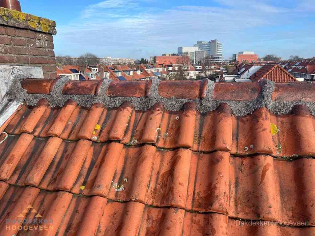 Hoogeveen Daken Renoveren Hoogeveen Daken Renoveren
